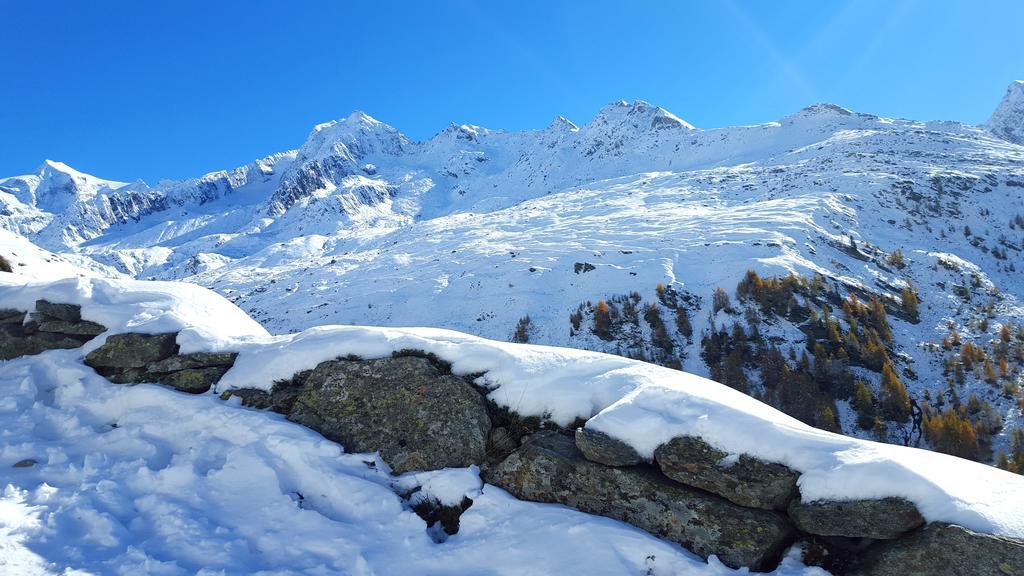 Grossstahlhof Mountain & Panorama View Apartment Ahrntal Luaran gambar