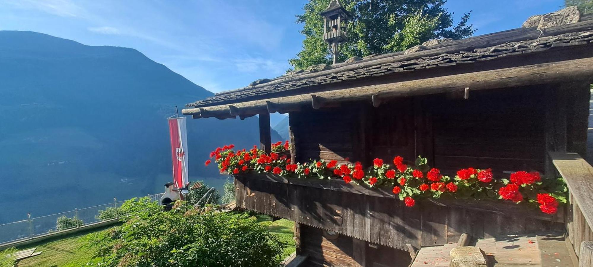Grossstahlhof Mountain & Panorama View Apartment Ahrntal Luaran gambar