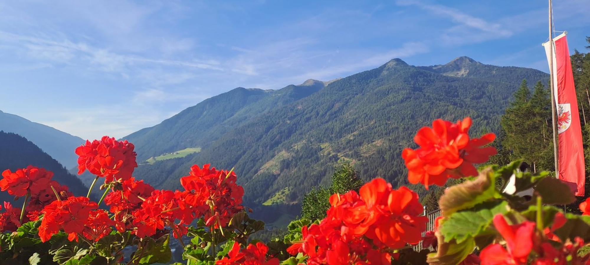 Grossstahlhof Mountain & Panorama View Apartment Ahrntal Luaran gambar