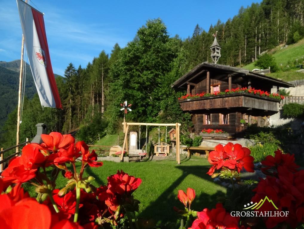 Grossstahlhof Mountain & Panorama View Apartment Ahrntal Luaran gambar